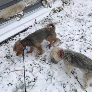 Meet your Posher, Donald